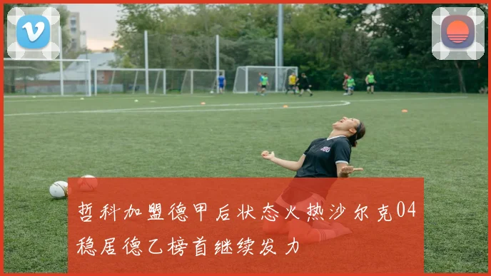 哲科加盟德甲后状态火热沙尔克04稳居德乙榜首继续发力