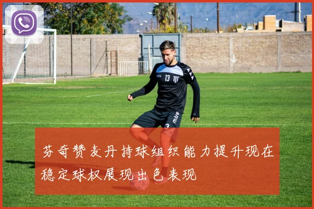 芬奇赞麦丹持球组织能力提升现在稳定球权展现出色表现