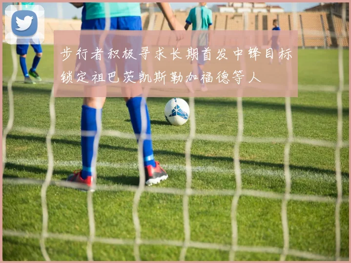 步行者积极寻求长期首发中锋目标锁定祖巴茨凯斯勒加福德等人